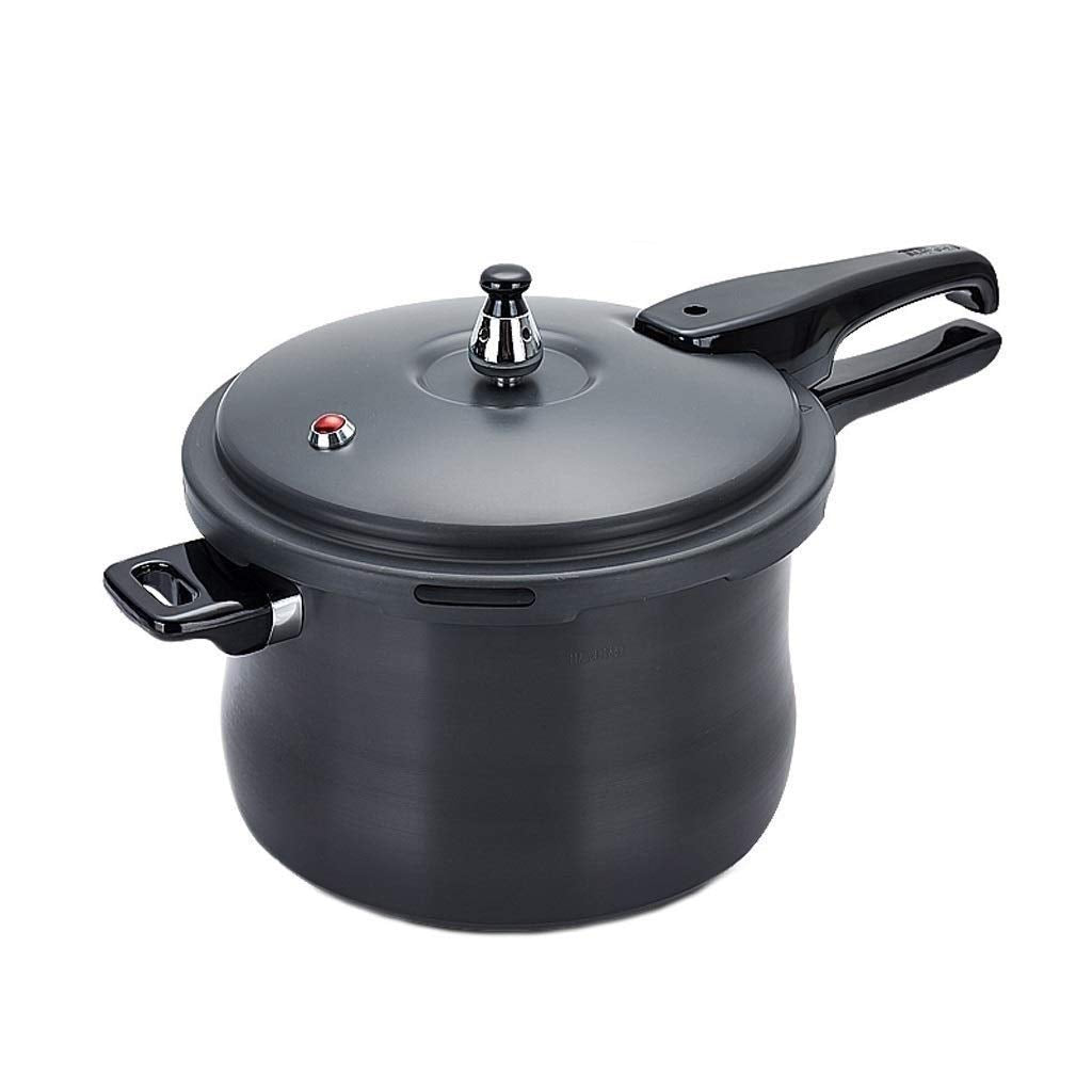 Black 3L Stainless Steel Pressure Cooker D2909