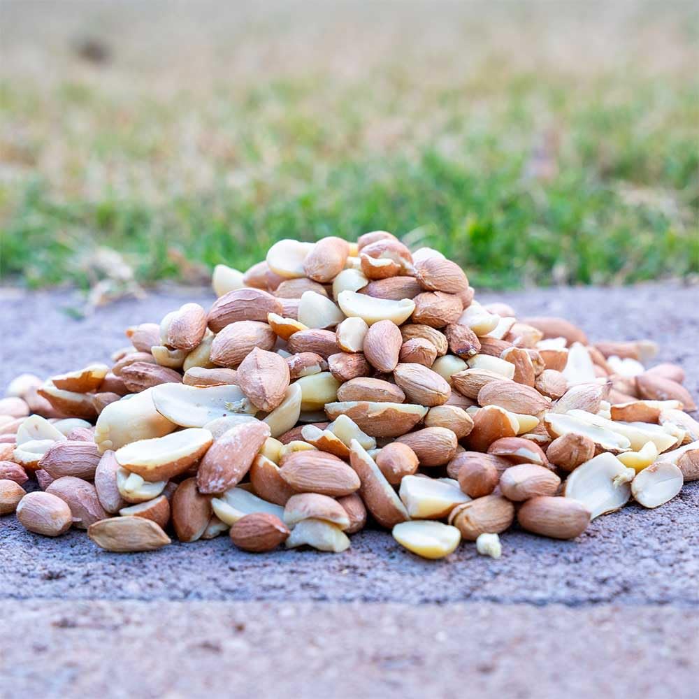 10 Pound Peanuts L972