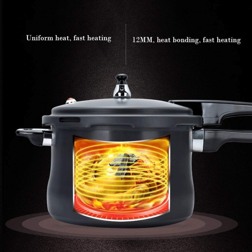 Black 3L Stainless Steel Pressure Cooker D2909