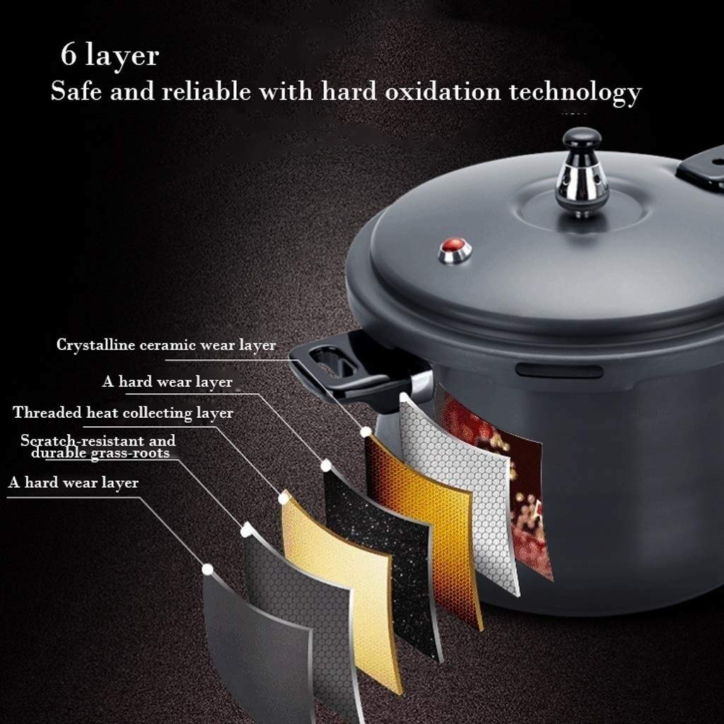 Black 3L Stainless Steel Pressure Cooker D2909