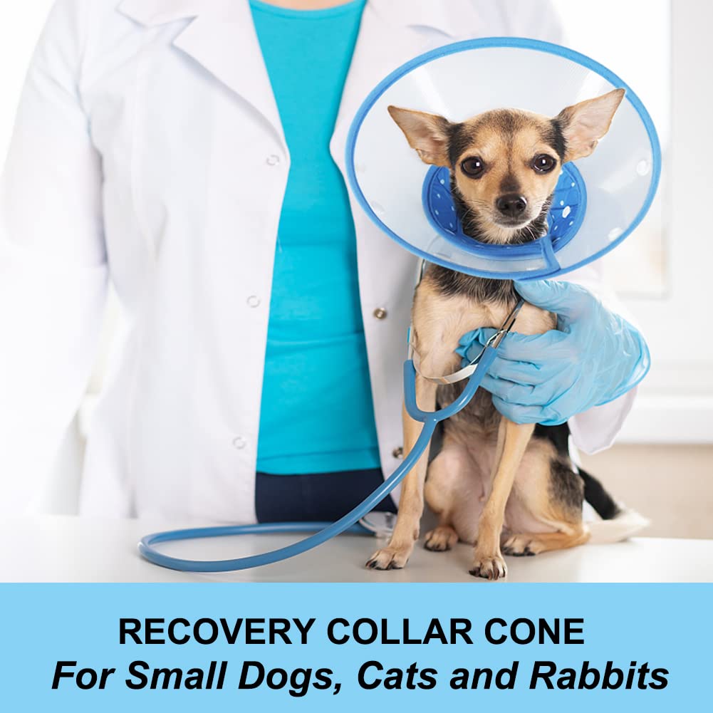 Blue Dog Recovery Cone F141