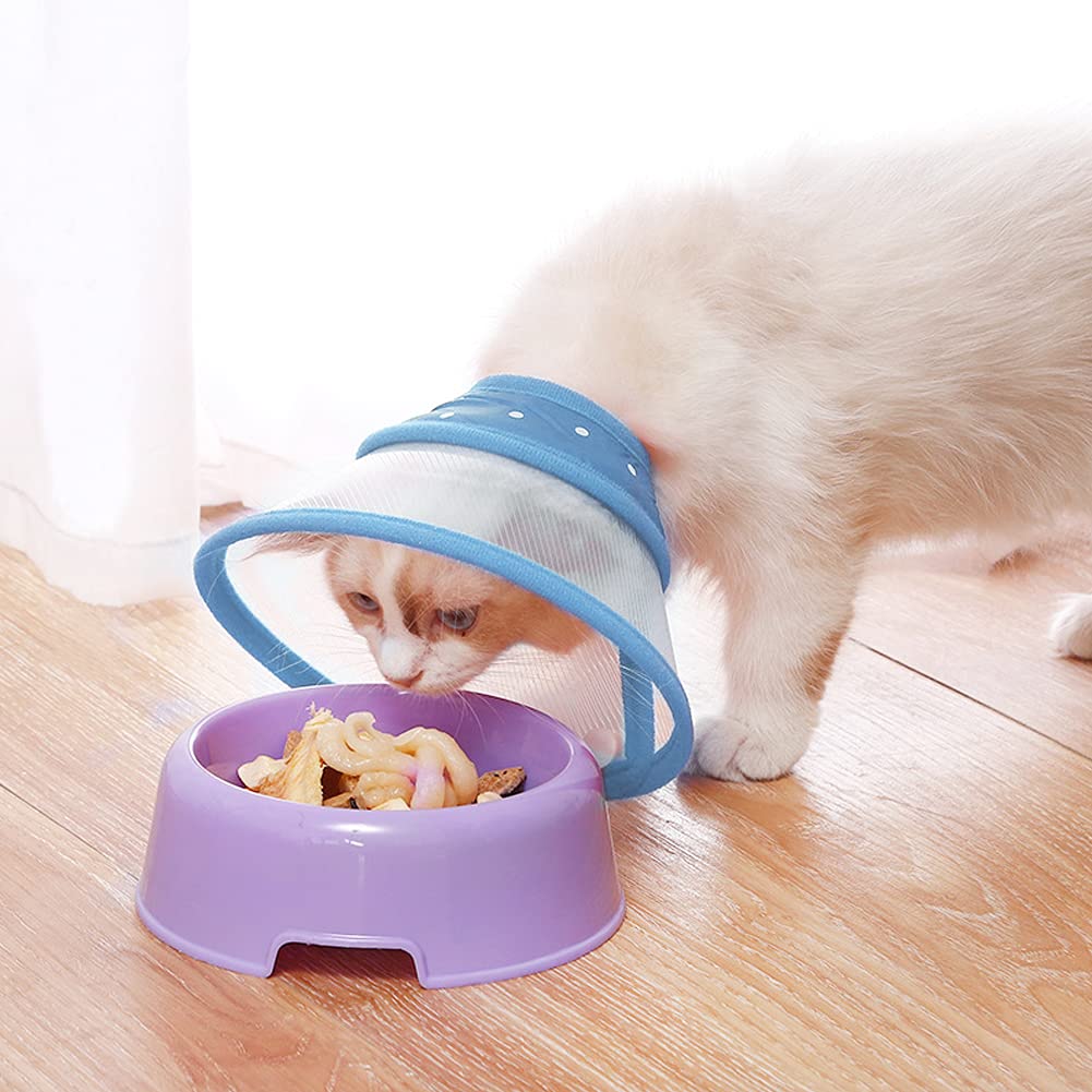 Blue Dog Recovery Cone F141