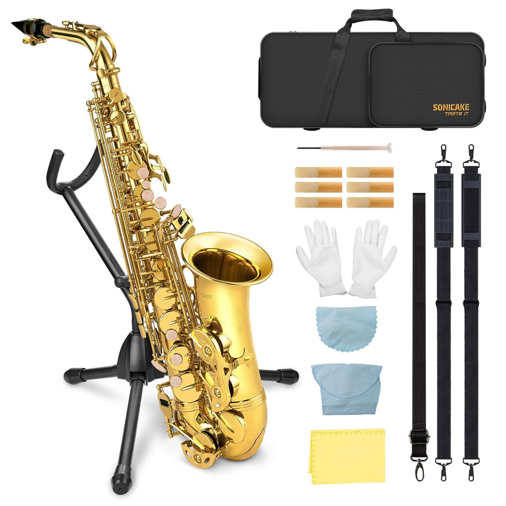 E Flat Alto Saxophone Full Kit A657367
