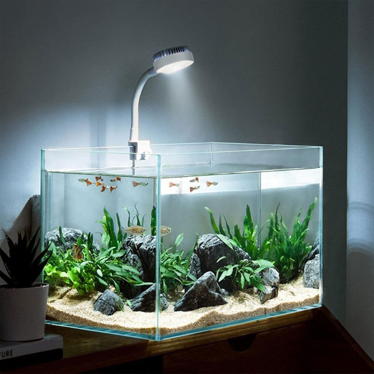 White USB Charging Clip-Type Mini Aquarium Light X640971