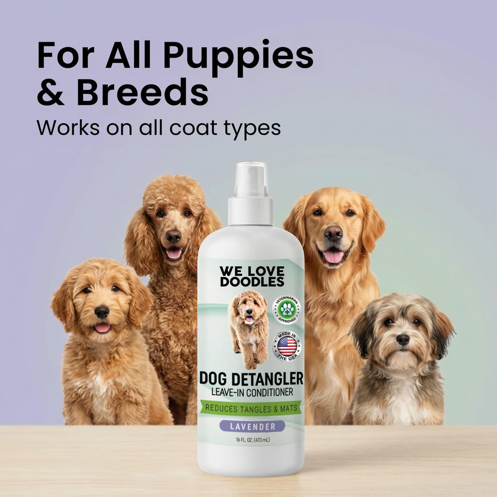 Dog Detangler Spray, Leave-in Conditioner Spray, Lavender, 16 OZ Q32340