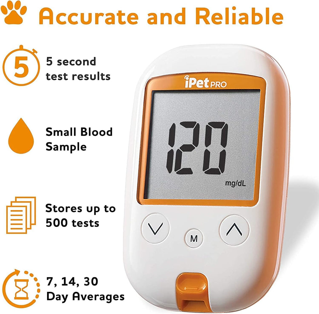 Test Strips and Lancets E533127
