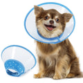 Blue Dog Recovery Cone F141