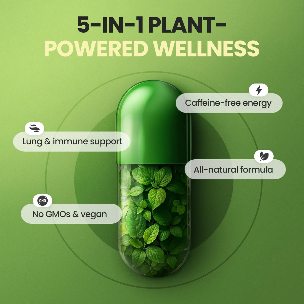 Moringa Beet Root Mullein Leaf Capsules D5625