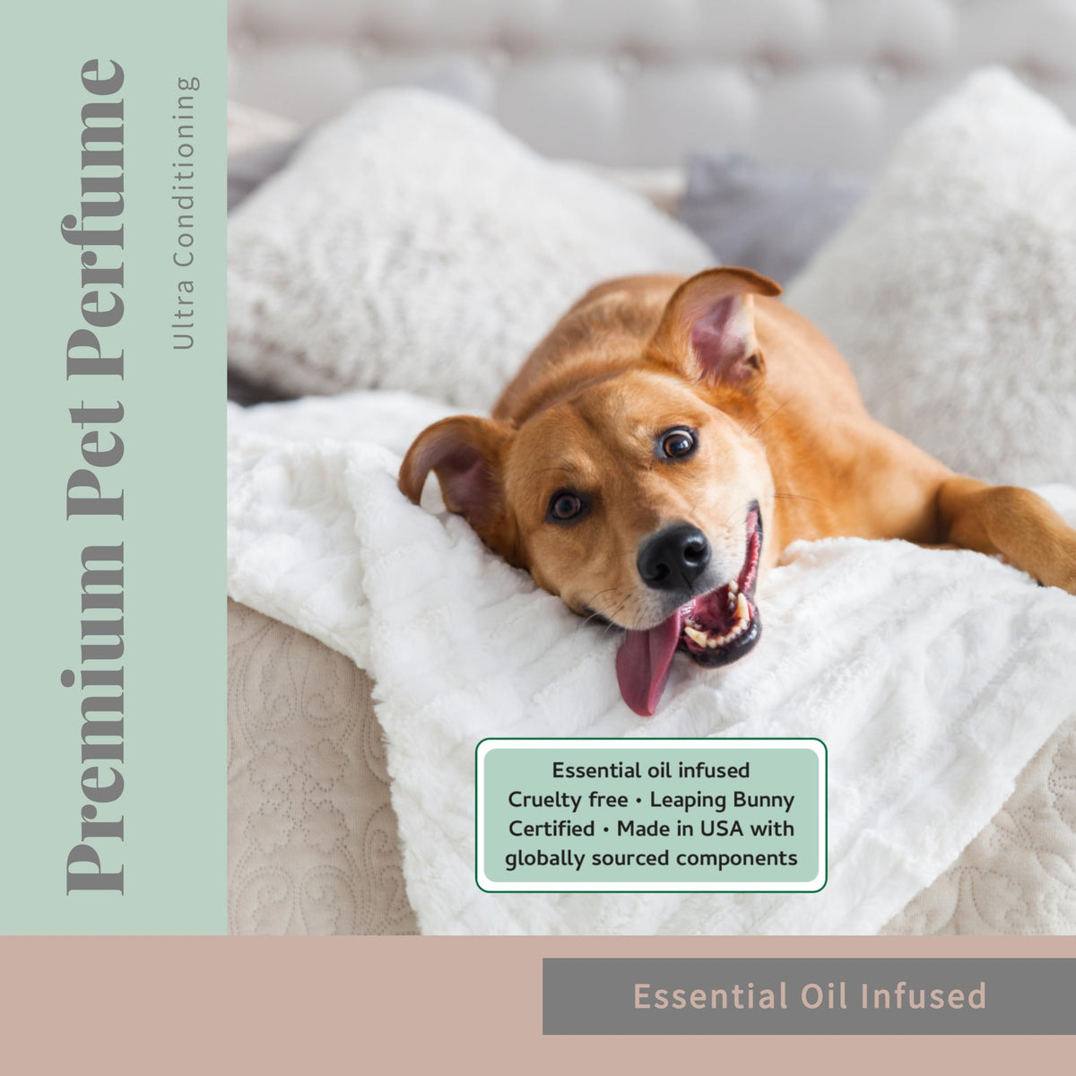 Pet Cologne and Deodorizer 8 oz Z10243