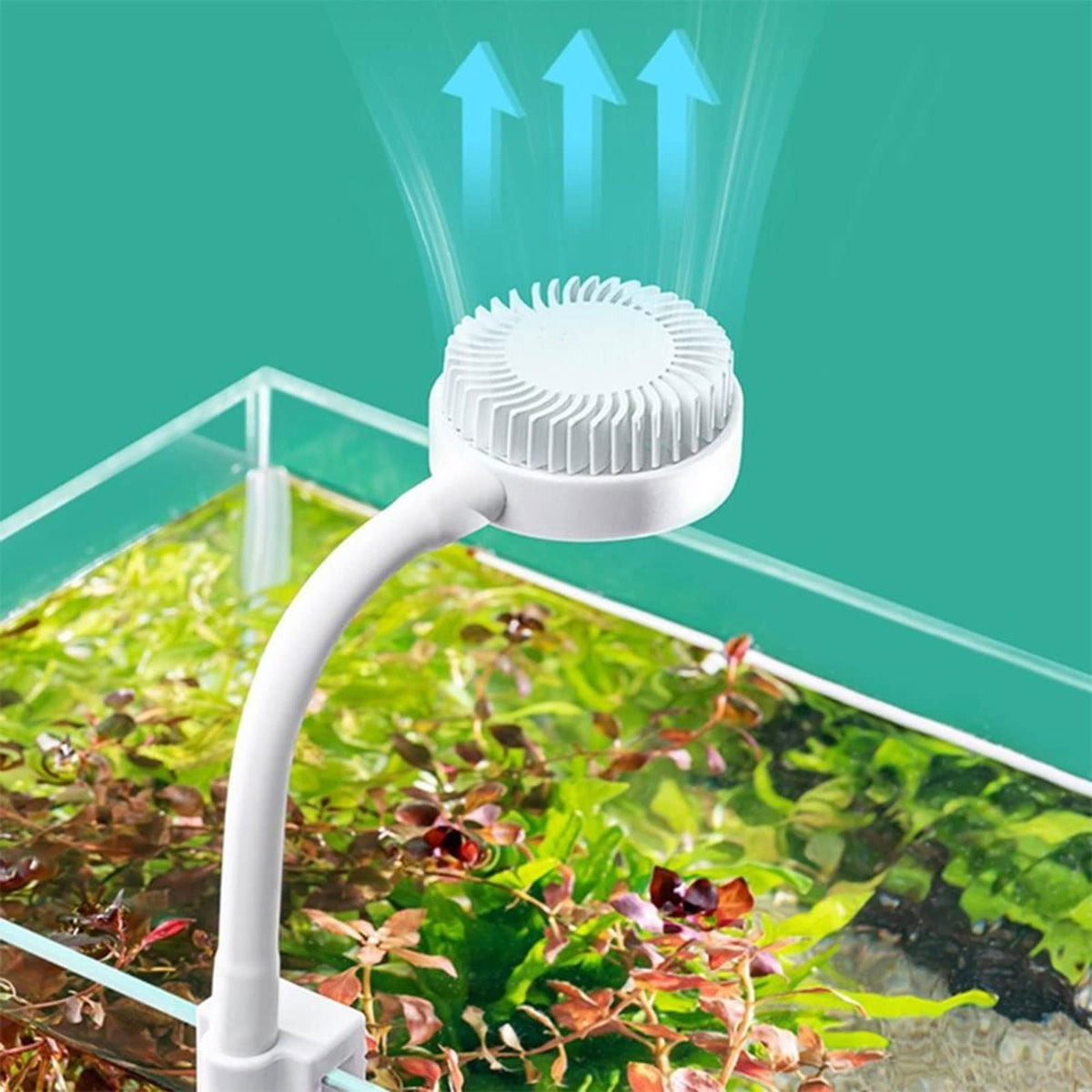 White USB Charging Clip-Type Mini Aquarium Light X640971