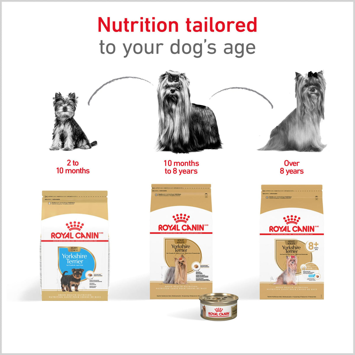 Adult Dry Dog Food, 10 lb Bag N9638