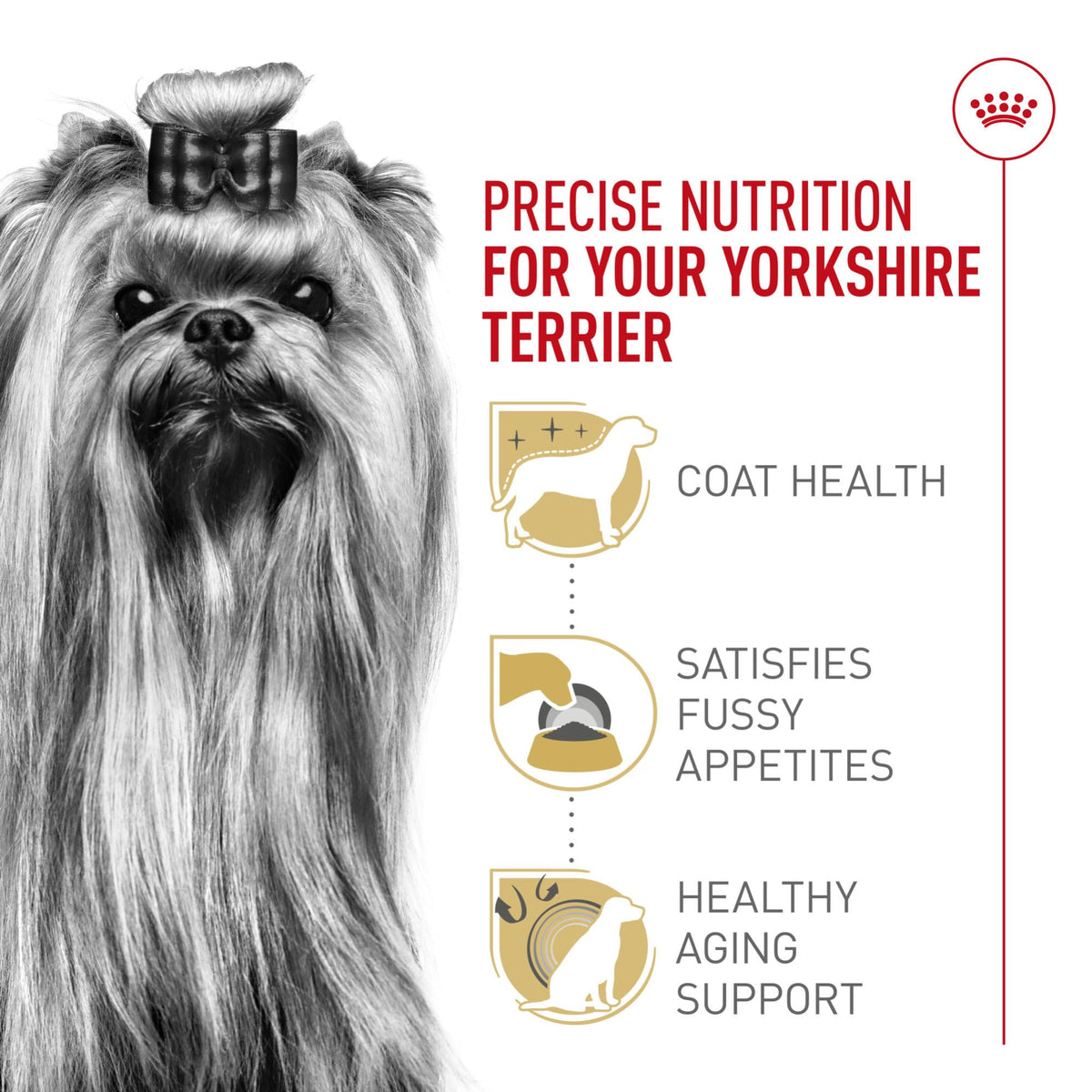 Adult Dry Dog Food, 10 lb Bag N9638