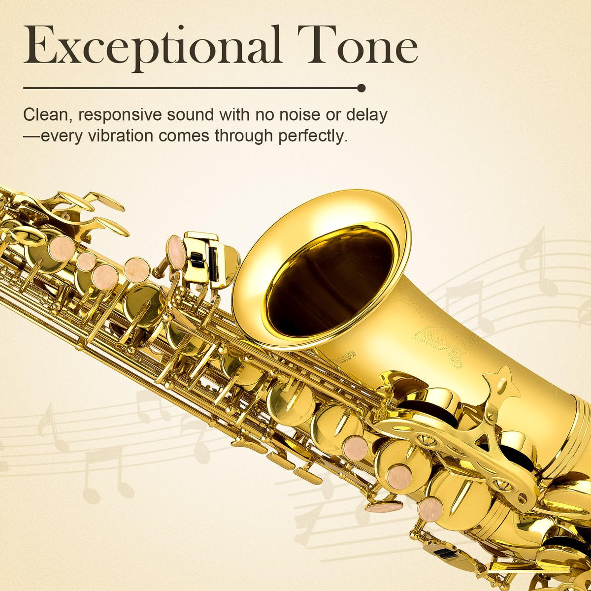 E Flat Alto Saxophone Full Kit A657367