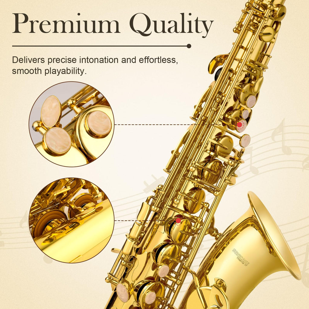 E Flat Alto Saxophone Full Kit A657367