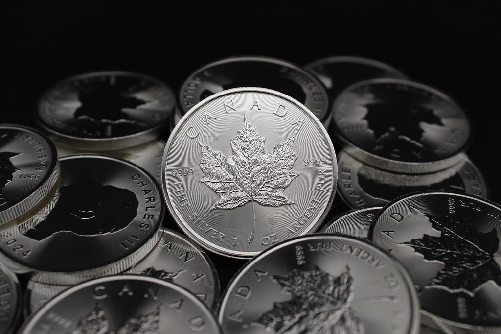 1 oz Canadian Silver Maple Leaf X290