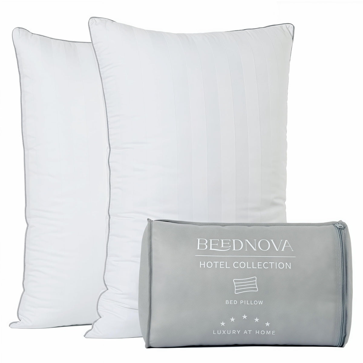 King Size Down Alternative Pillows Set of 2 L873140