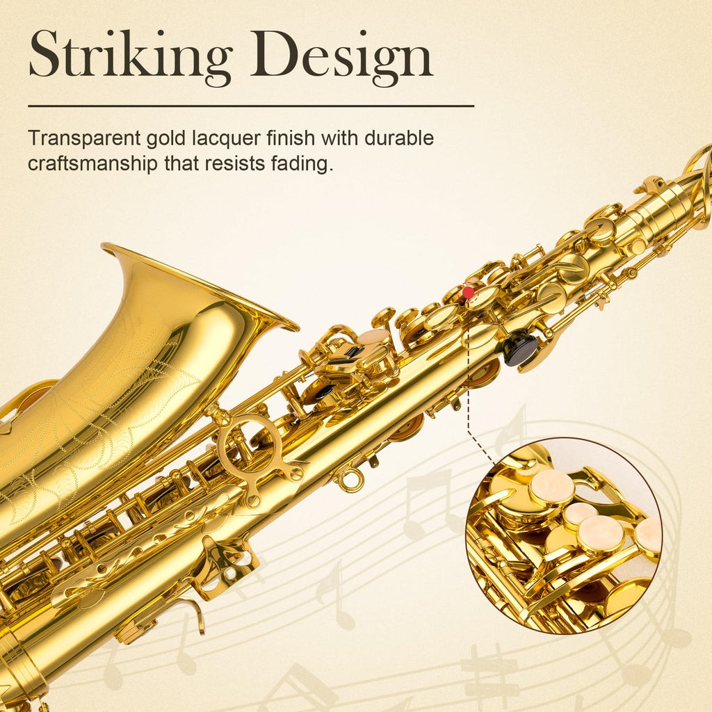 E Flat Alto Saxophone Full Kit A657367