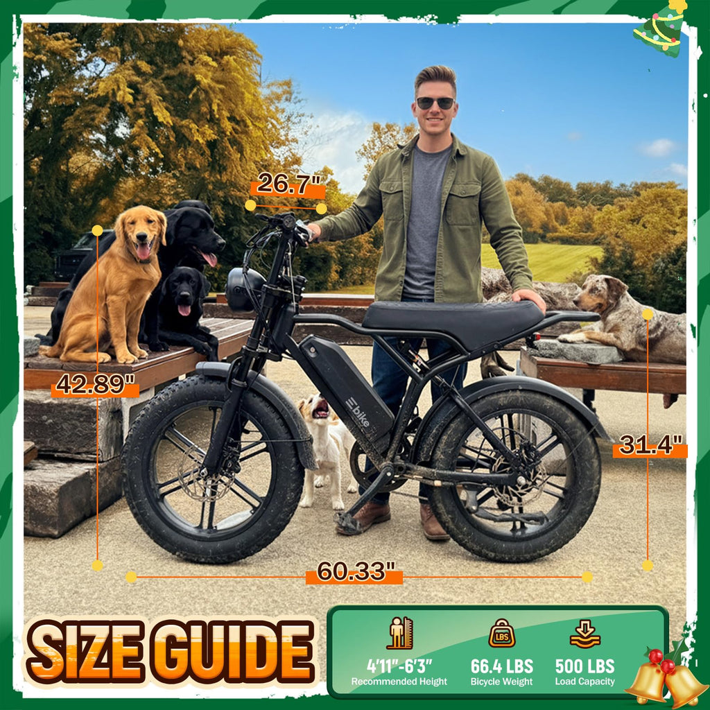 Electric Bike for Adults B426
