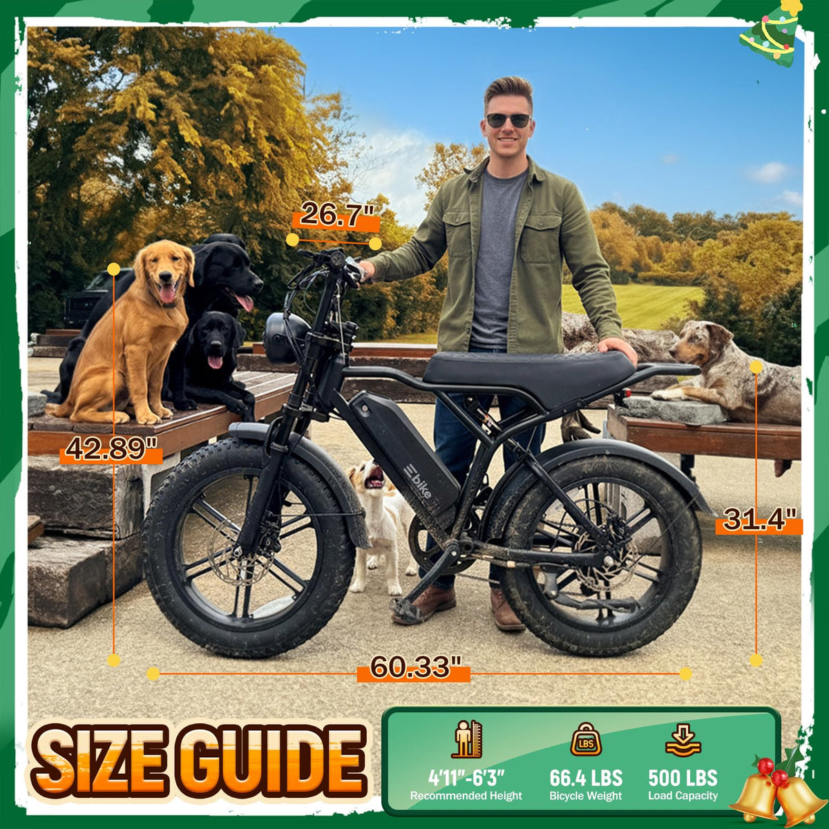 Electric Bike for Adults B426