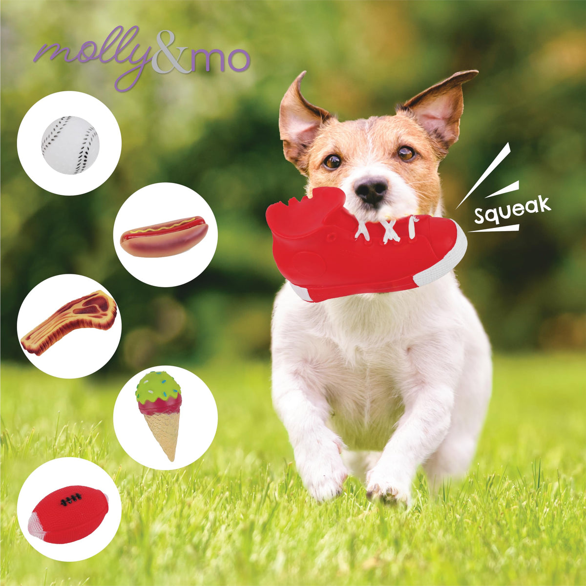 Dog Chew Toys Squeaky Assorted Sizes K247087