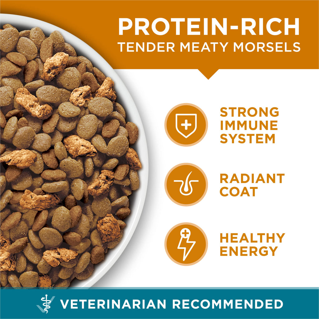 Dry Cat Food Chicken 7 lb Bag Q395720