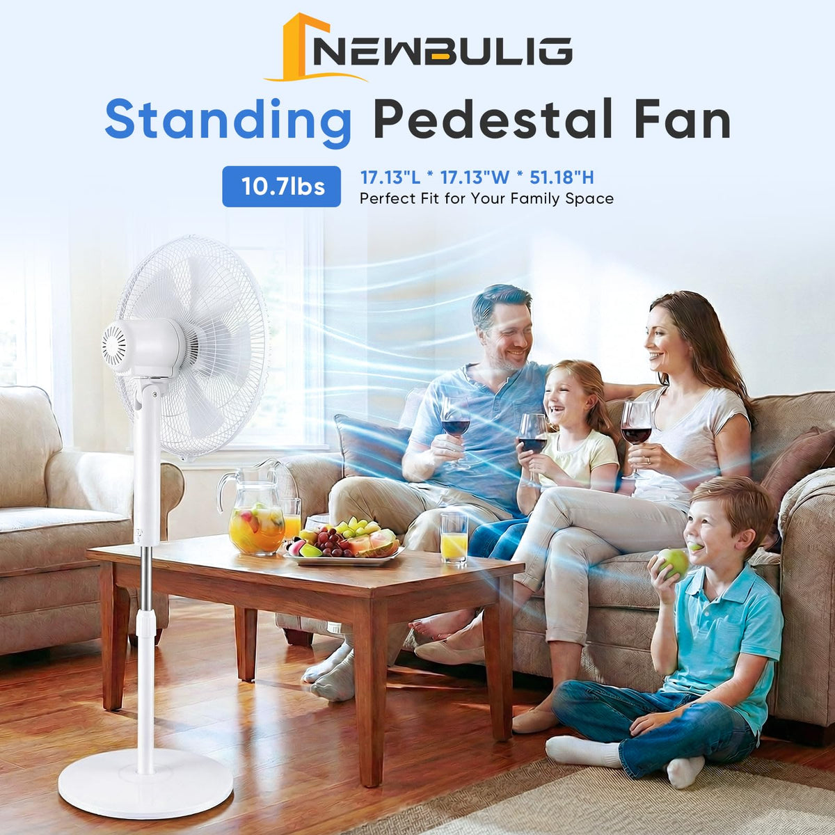 17" Oscillating Pedestal Fan with Remote T4307