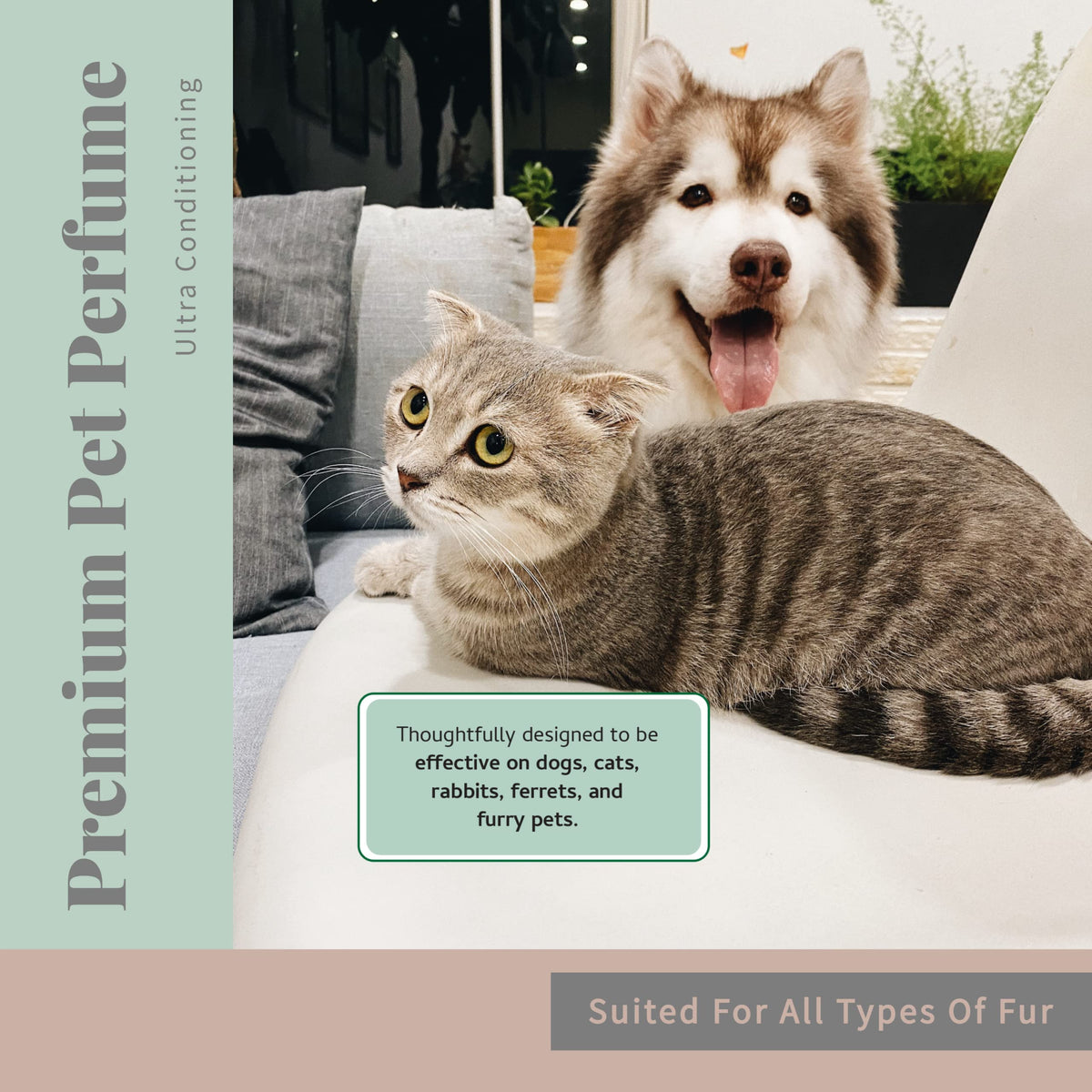 Pet Cologne and Deodorizer 8 oz Z10243