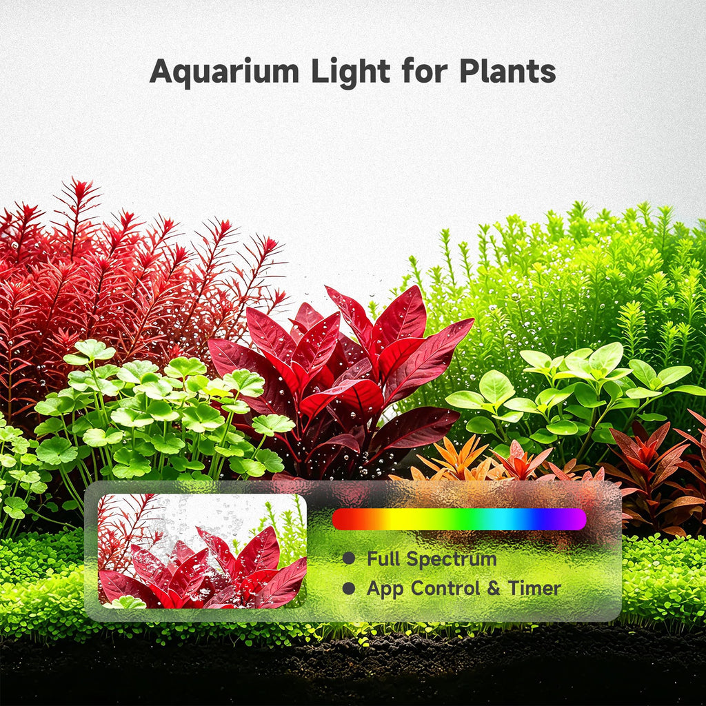 5 Gallon Smart Fish Tank Aquarium Kit M3053